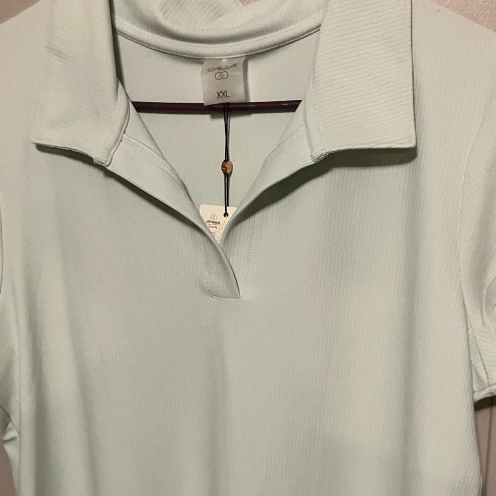 Alia Short Sleeve Polo Tee in Light Mint